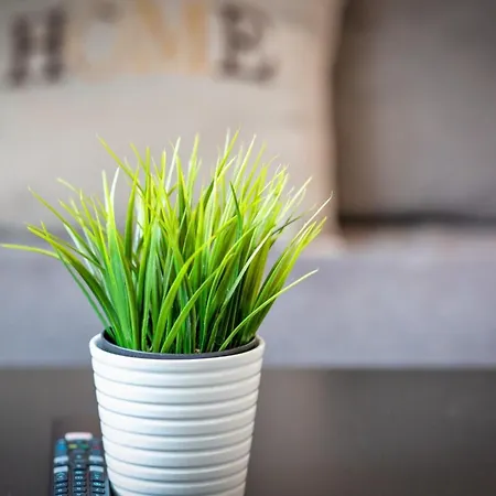 Le Cocoon Proche Du Vieux Marche Apartment Rouen