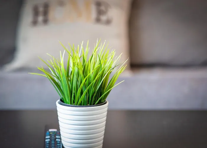 Le Cocoon Proche Du Vieux Marche Appartement Rouen